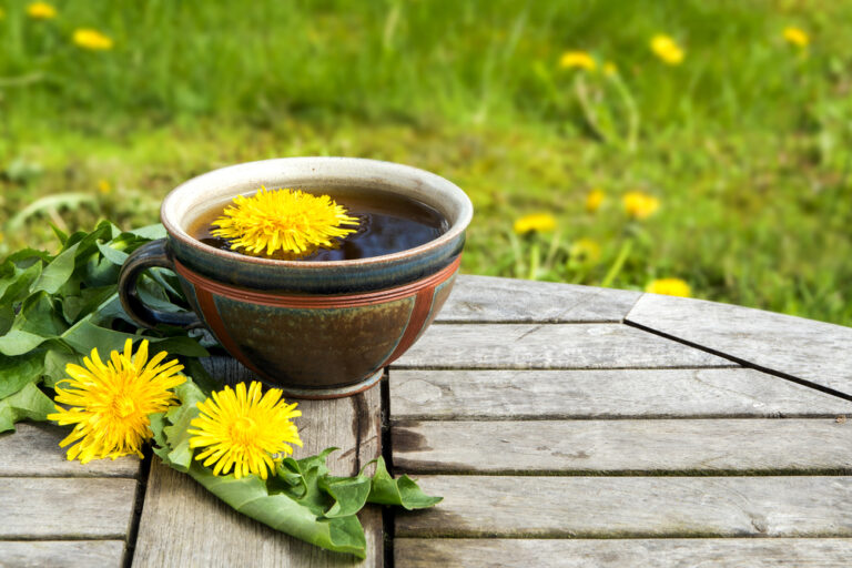 8 Healthy Dandelion Root Things You Need To Know