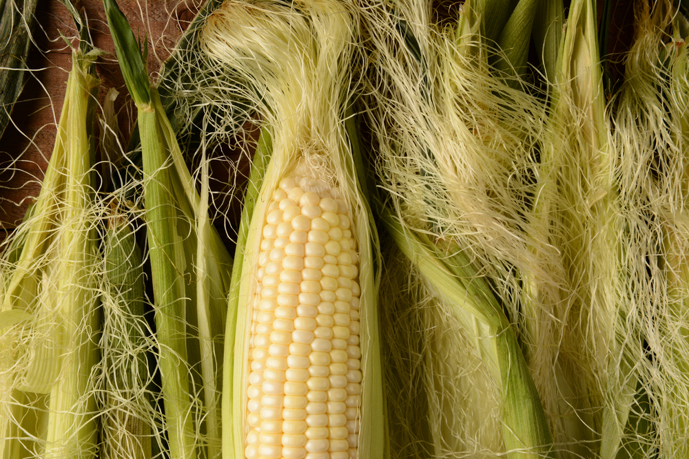 corn silk