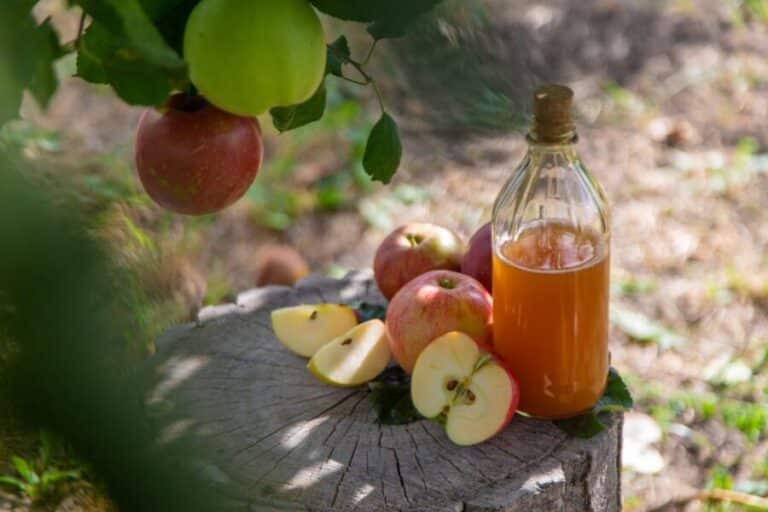 The Best 4 Reasons to Try Apple Cider Vinegar—and 2 Things to Watch Out For