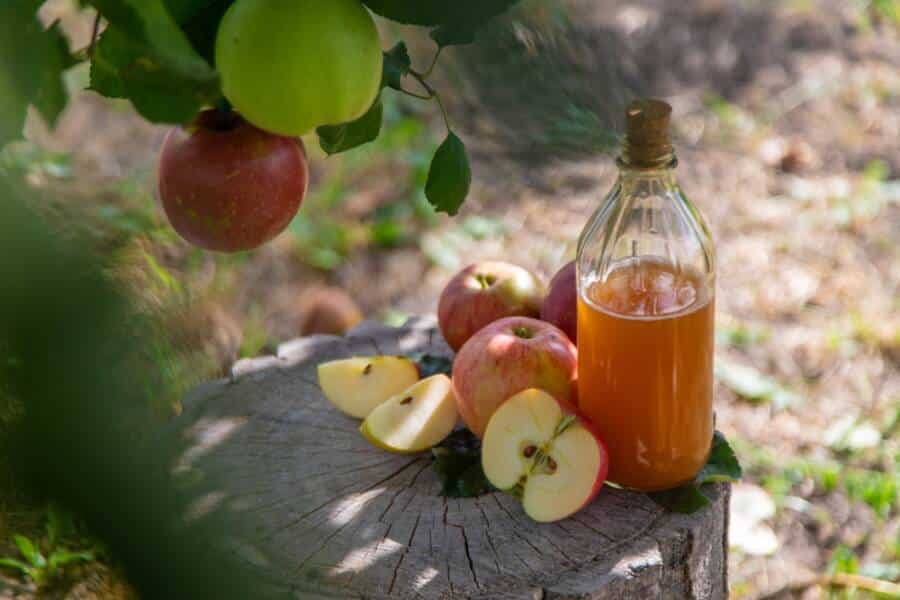 apple cider vinegar