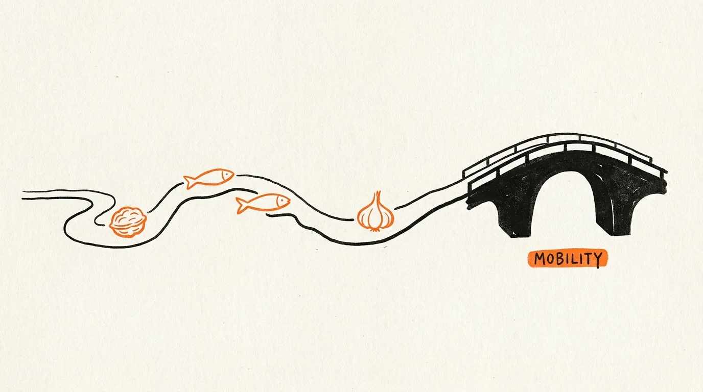 A minimalist ink drawing showing food stepping stones building a bridge toward mobility.