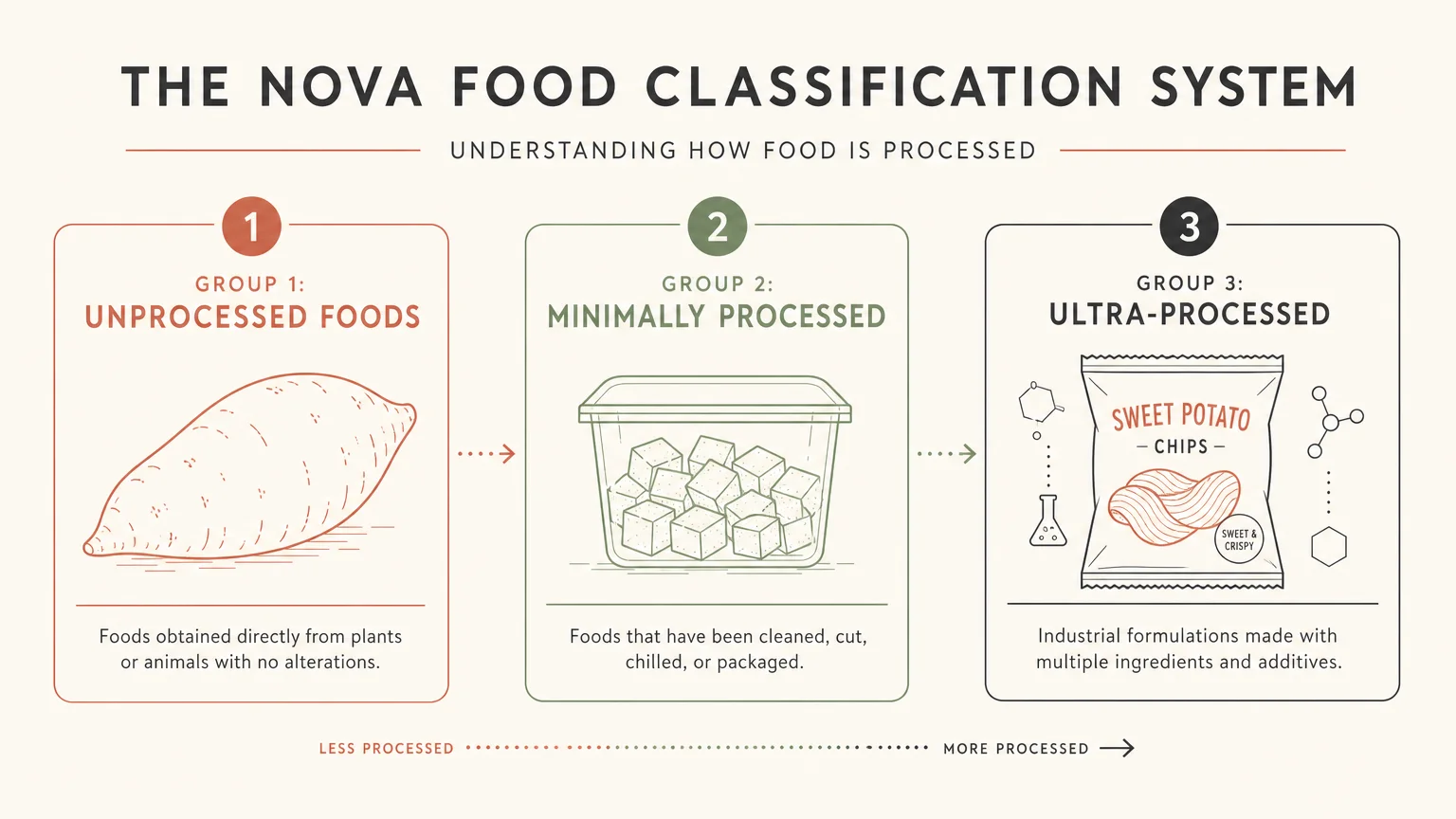 A horizontal diagram illustrating the NOVA food classification system across unprocessed, minimally processed, and ultra-processed groups.