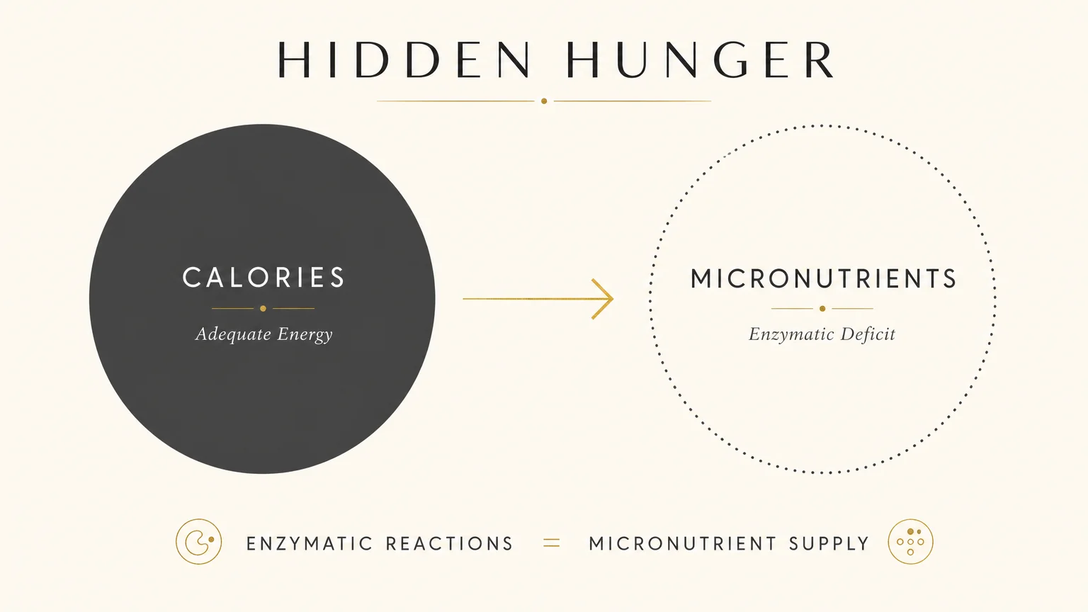 A minimalist diagram contrasting solid calorie intake with gapped micronutrient levels to illustrate hidden hunger.