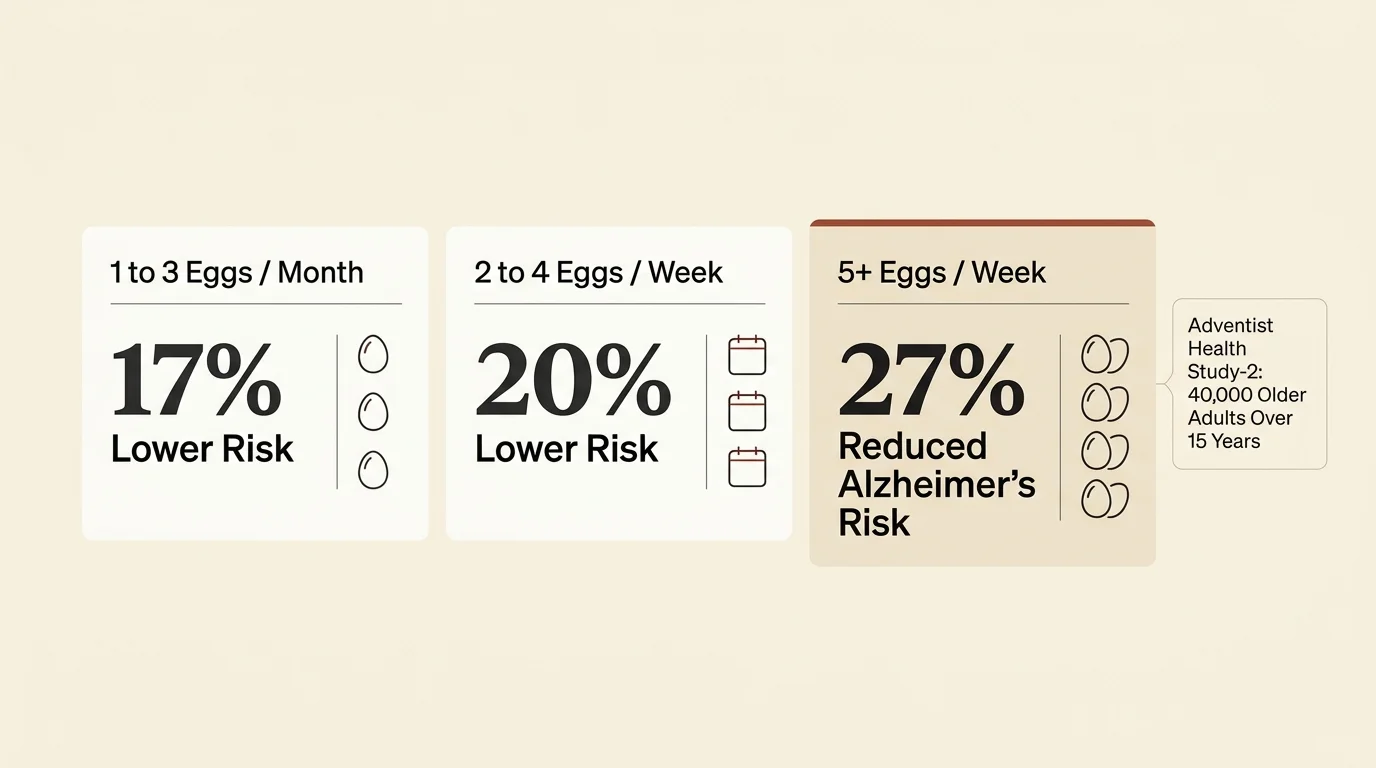 Infographic showing 17%, 20%, and 27% lower Alzheimer's risk across three tiers of egg consumption.