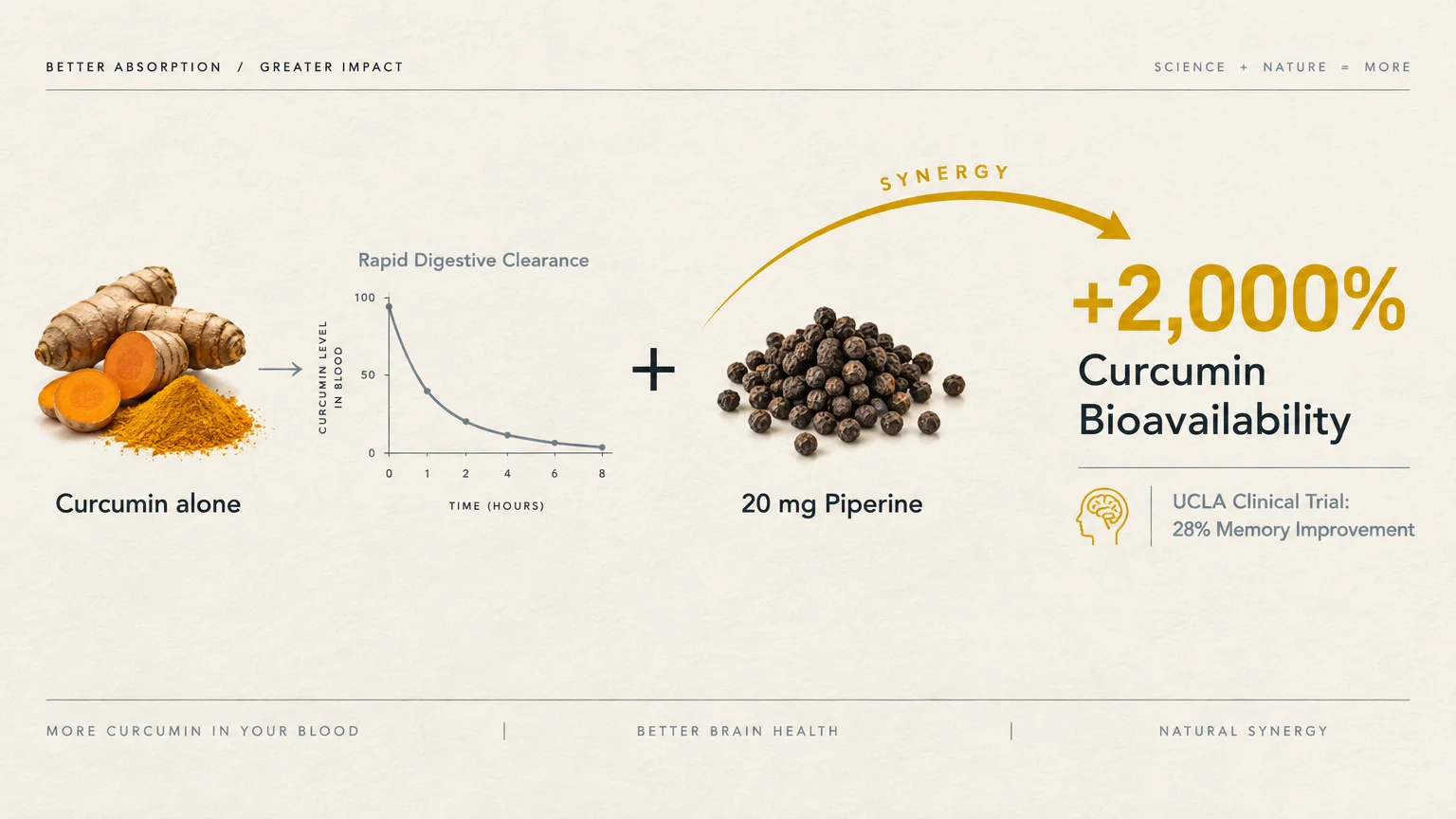 Diagram showing turmeric and black pepper combining to increase curcumin bioavailability by 2,000% with a UCLA trial stat.
