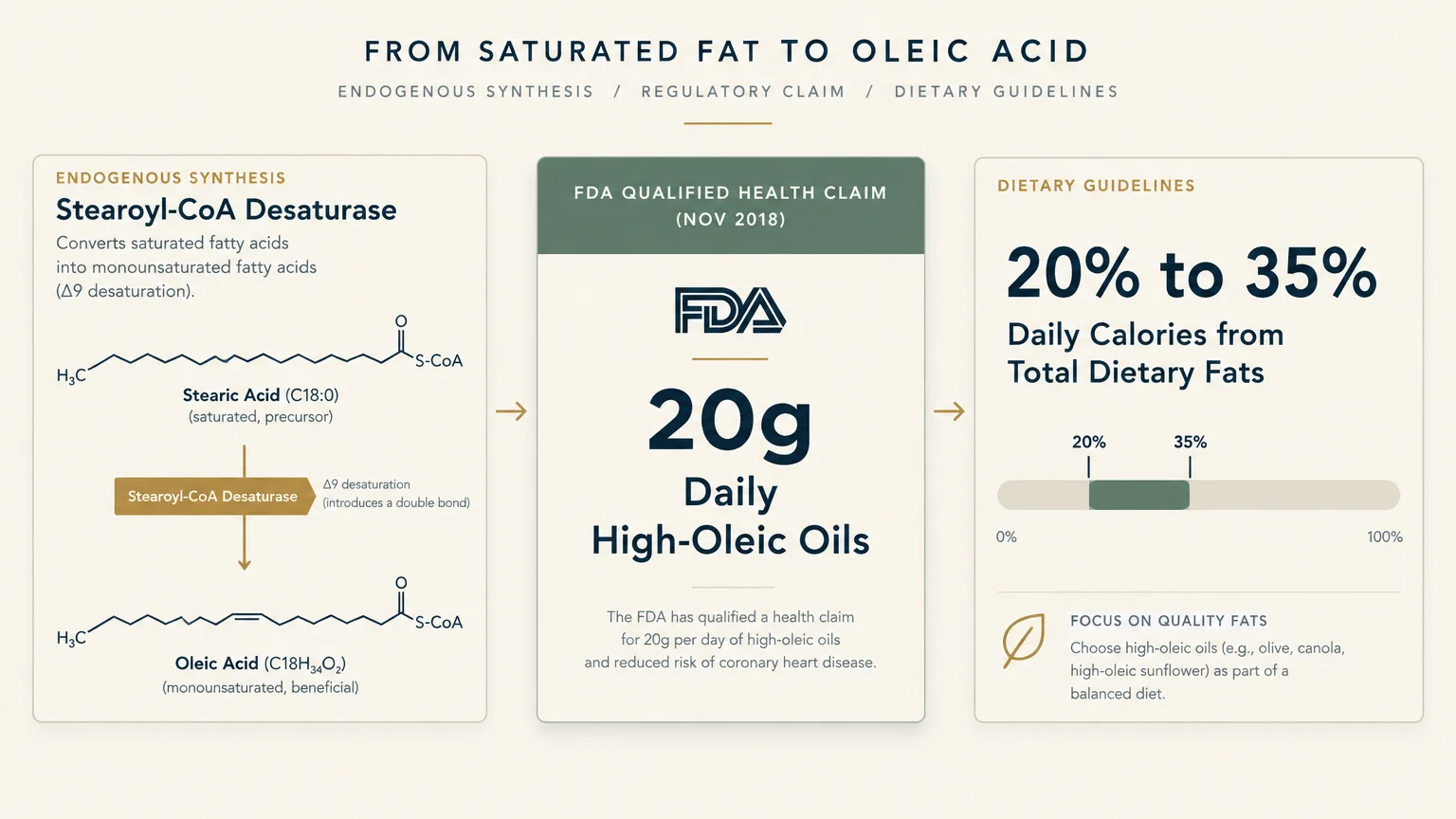 Diagram outlining endogenous synthesis of oleic acid, an FDA qualified health claim panel, and fat dietary guidelines.