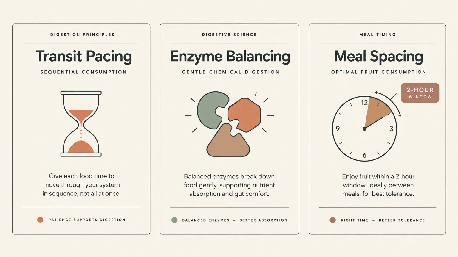 Three cards illustrating digestive principles: Transit Pacing with an hourglass, Enzyme Balancing, and Meal Spacing clock.