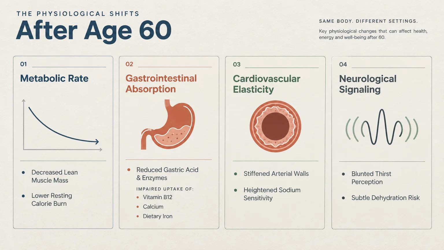 Diagram outlining four physiological shifts after age 60: metabolic rate, gastrointestinal absorption, cardiovascular elasticity, and neurol