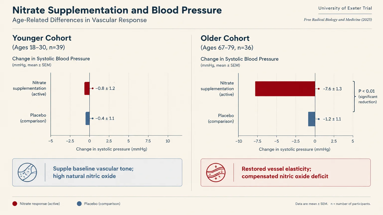 Bar charts comparing systolic blood pressure changes from nitrate supplementation versus placebo in younger and older cohorts.