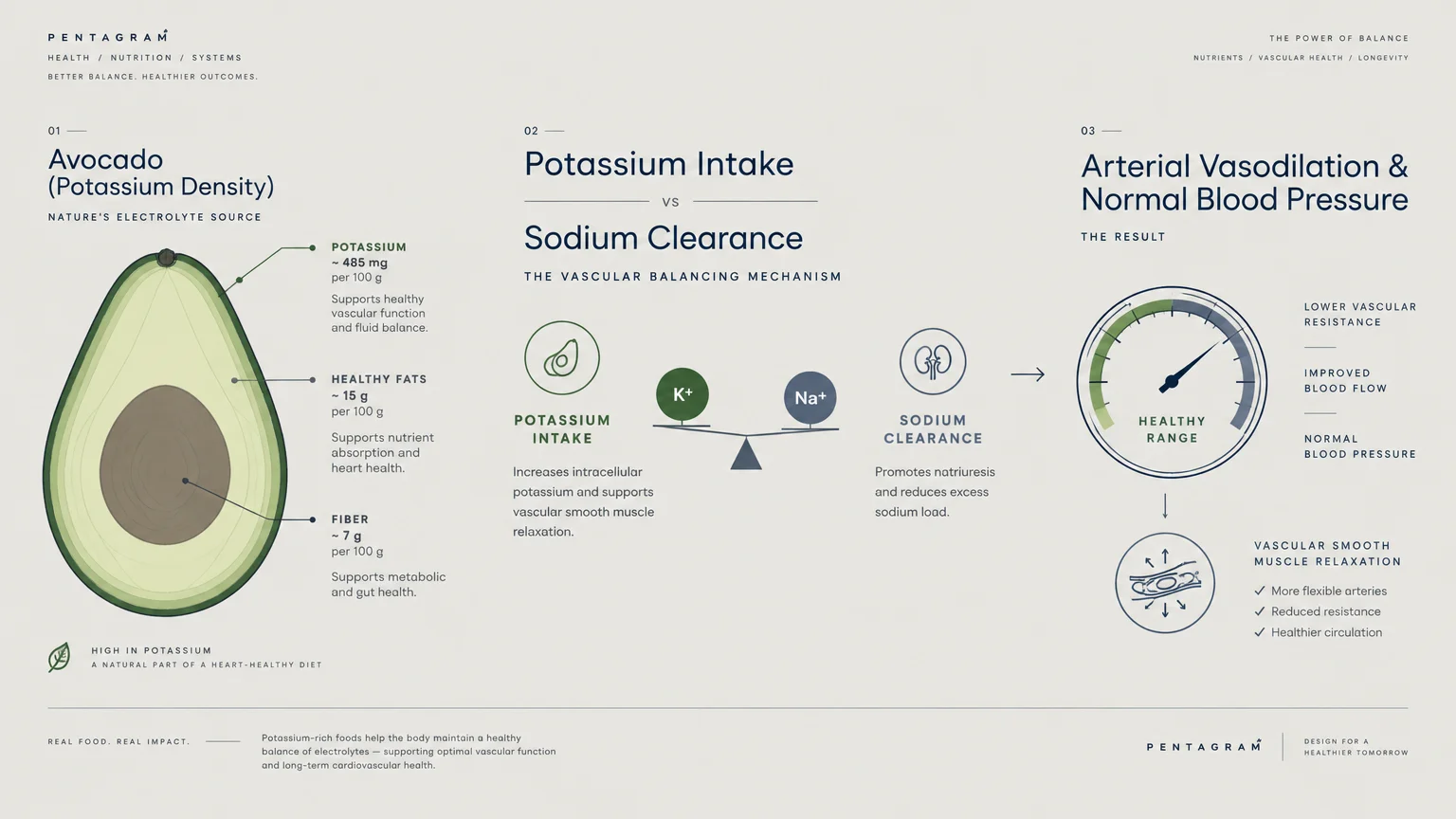 Diagram showing an avocado cross-section, a potassium and sodium balance scale, and a healthy blood pressure gauge.