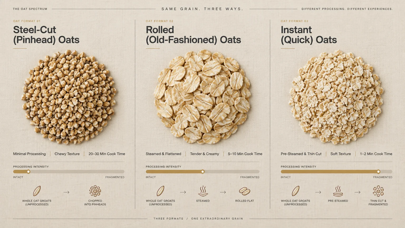 Diagram comparing steel-cut, rolled, and instant oats with photos of grains, cooking times, and processing steps.
