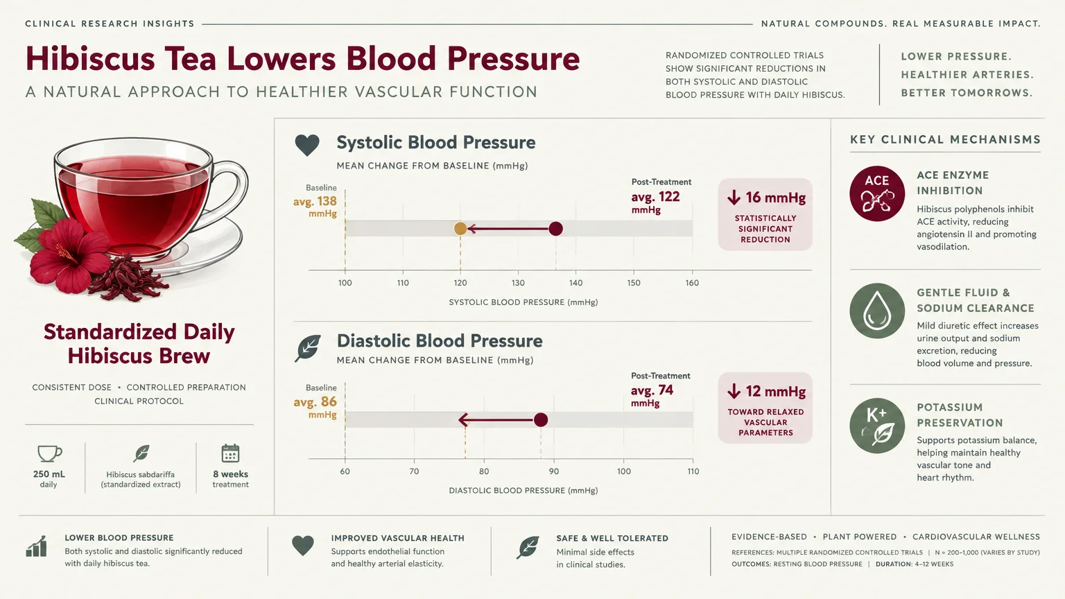 Infographic showing hibiscus tea lowering systolic blood pressure by 16 mmHg and diastolic blood pressure by 12 mmHg.