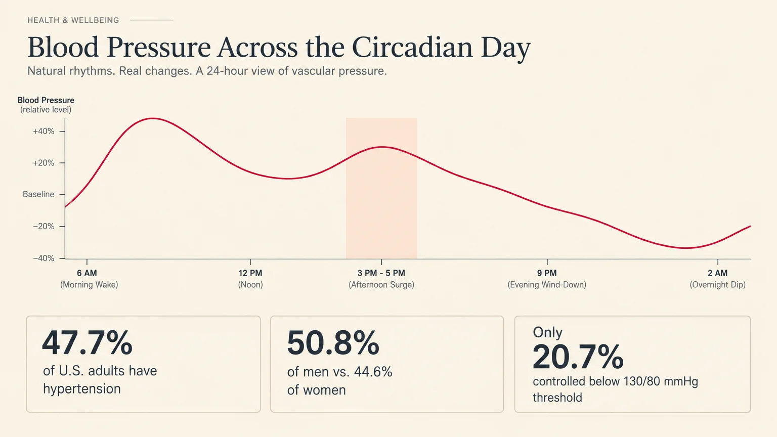Line graph of blood pressure over 24 hours with an afternoon peak highlighted, alongside hypertension statistics below.