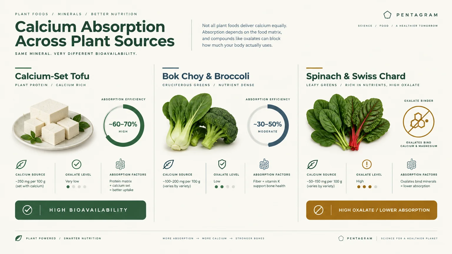 Infographic comparing calcium absorption and oxalate levels in calcium-set tofu, bok choy and broccoli, and spinach with chard.