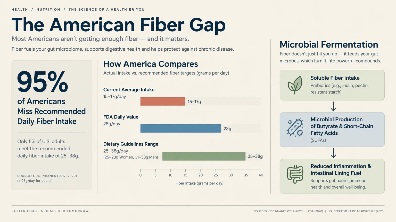 Infographic titled The American Fiber Gap with fiber intake bar charts and a microbial fermentation flowchart.