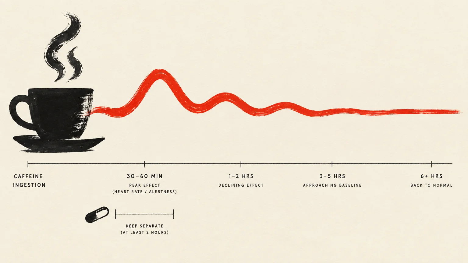 Illustration of a coffee cup with a red timeline wave showing caffeine effects and a pill separated by two hours.