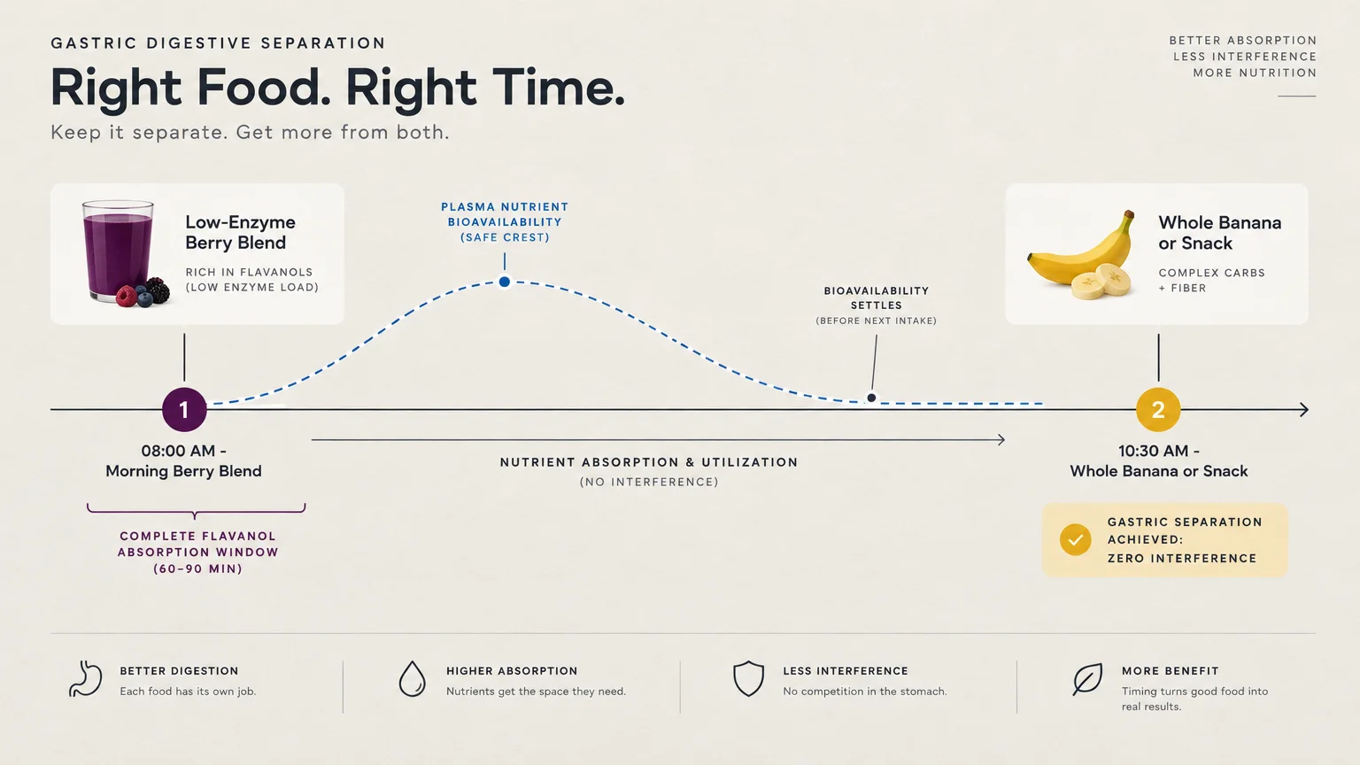 Diagram timeline showing a morning berry blend at 8:00 AM and a banana snack spaced apart at 10:30 AM.